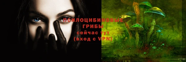 не бодяженный Бородино