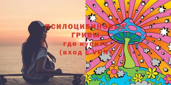 сатива Верхнеуральск