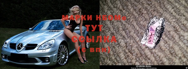 не бодяженный Бородино