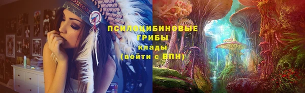 хмурый Верея